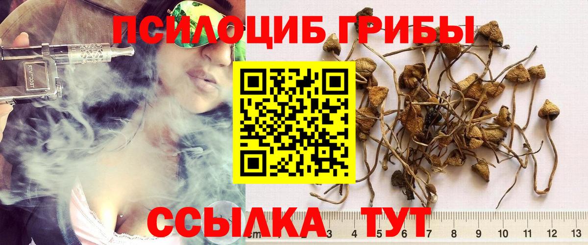 Соль-Илецк  Псилоцибиновые грибы мицелий  Вход с VPN 