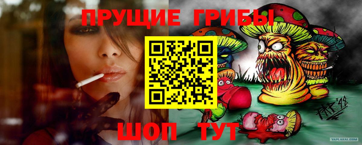 Галлюциногенные грибы Psilocybine cubensis Соль-Илецк